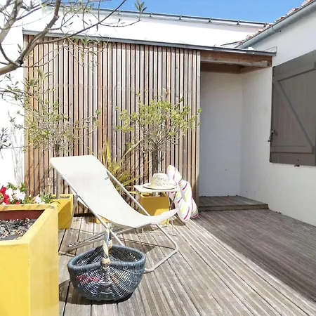 Tulipe Gilles Croix De Vie