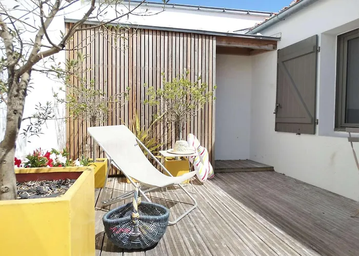 Tulipe Gilles Croix De Vie